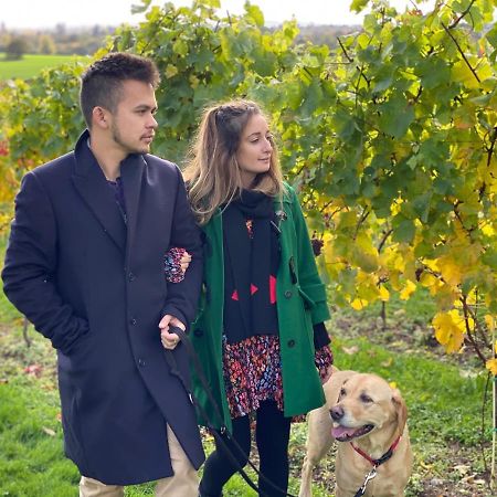 Hencote Vineyard Glamping Village Shrewsbury Buitenkant foto