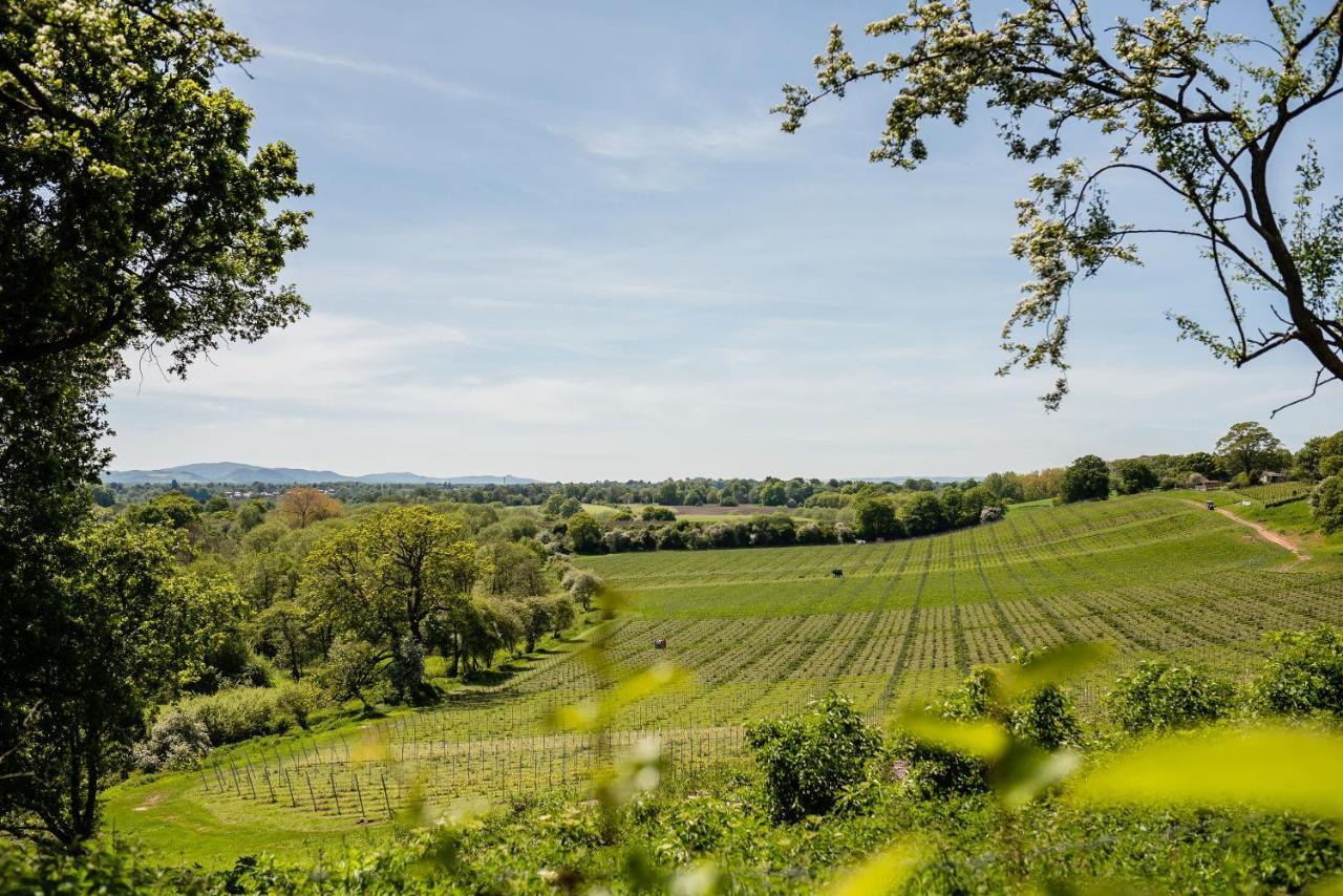 Hencote Vineyard Glamping Village Shrewsbury Buitenkant foto