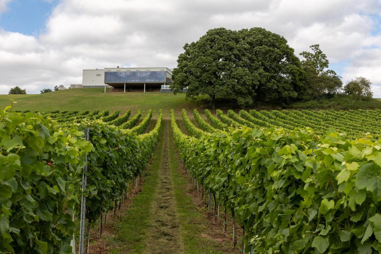 Hencote Vineyard Glamping Village Shrewsbury Buitenkant foto